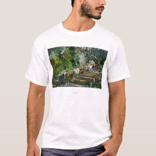 丸太を強く引いているウシチームの眺め Tシャツ