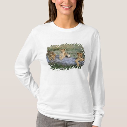 丸太上のライオンの子 Tシャツ (正面)