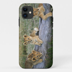 丸太上の子ライオン iPhone 11 ケース