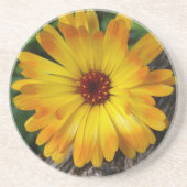 丸太 コースター (正面)