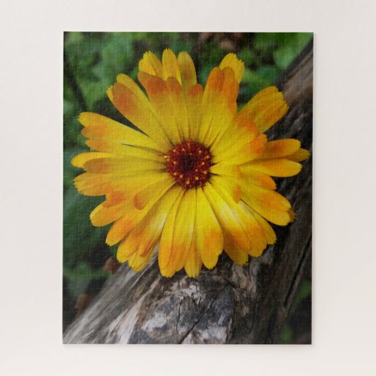 丸太 ジグソーパズル (縦)