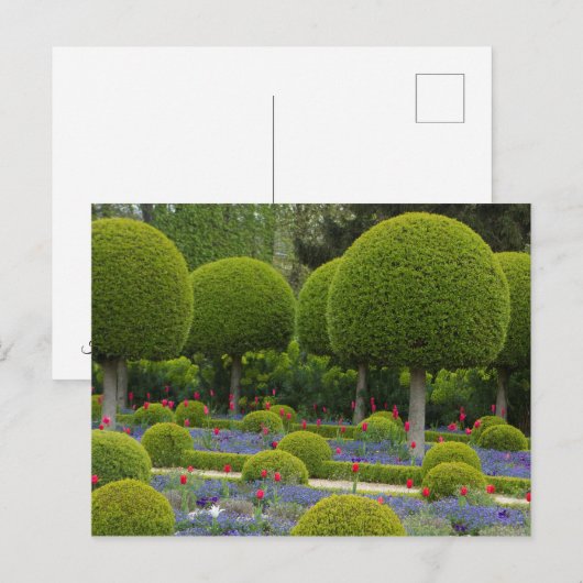 丸木はがき ポストカード (正面/裏面)