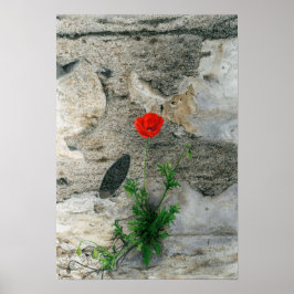 丸独身の影 ポスター