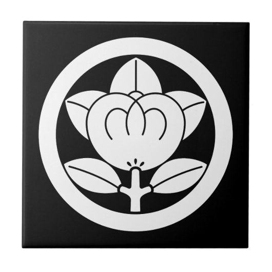 丸瓦のミカン タイル (正面)