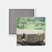 丸石の彫刻ブロック マヤ遺跡コパン写真 マグネット (正面/裏面)