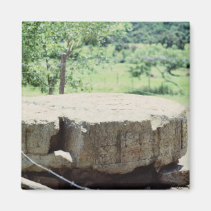 丸石の彫刻ブロック マヤ遺跡コパン写真 マグネット