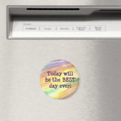 丸磁やる気を起こさせる石 マグネット (インサイチュ (食洗機))