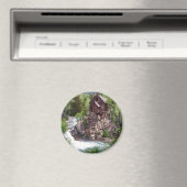 丸磁石 マグネット (インサイチュ (食洗機))