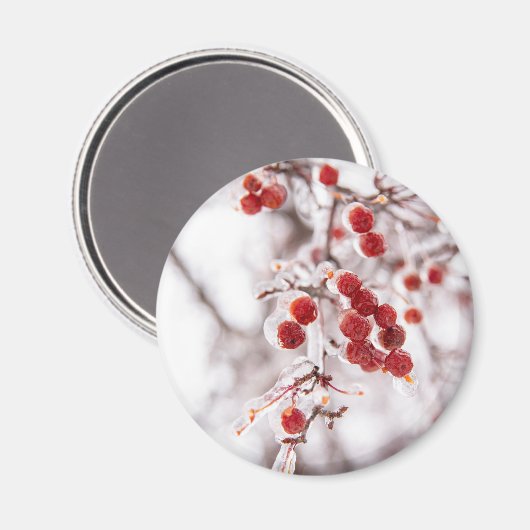 丸磁石 マグネット (正面/裏面)