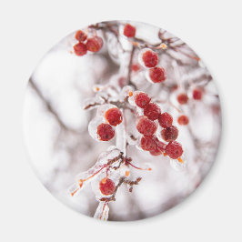 丸磁石 マグネット