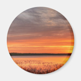 丸磁石 マグネット