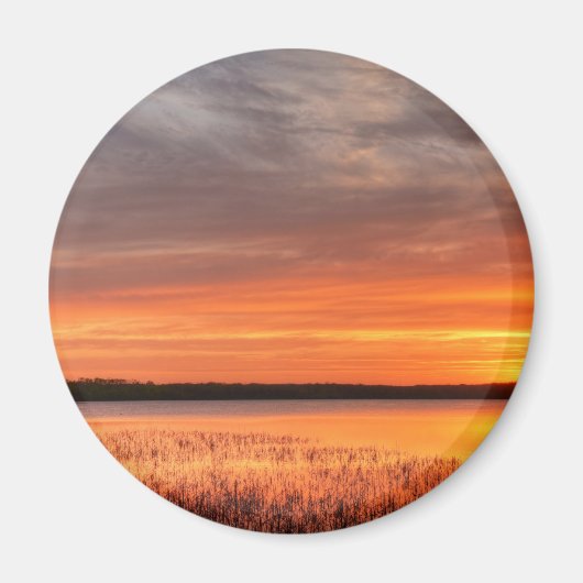 丸磁石 マグネット (正面)