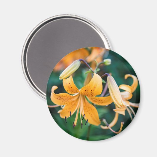 丸磁石 マグネット (正面/裏面)