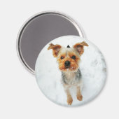 丸磁石 マグネット (正面/裏面)