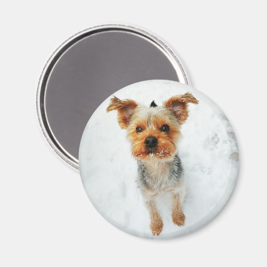 丸磁石 マグネット (正面/裏面)