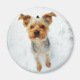 丸磁石 マグネット