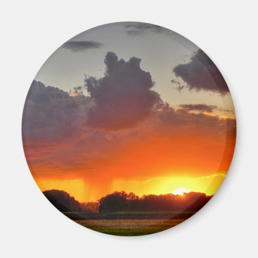 丸磁石 マグネット (正面)