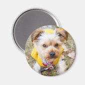 丸磁石 マグネット (正面/裏面)