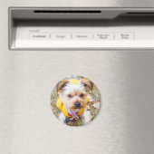 丸磁石 マグネット (インサイチュ (食洗機))