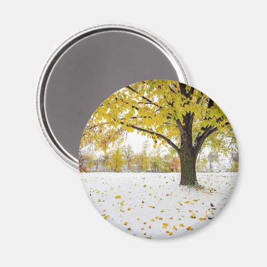 丸磁石 マグネット (正面/裏面)