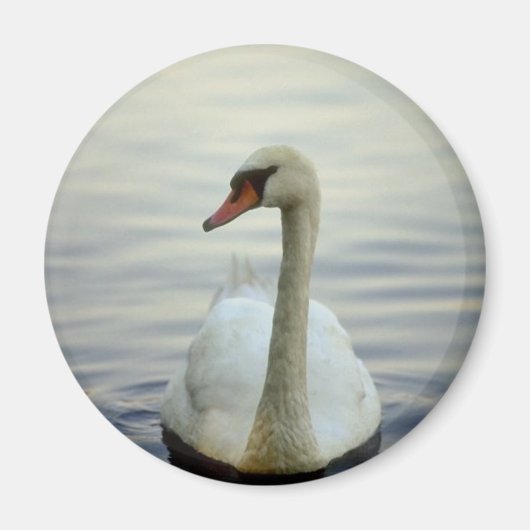 丸磁石 マグネット (正面)