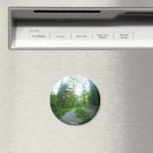 丸磁石 マグネット (インサイチュ (食洗機))