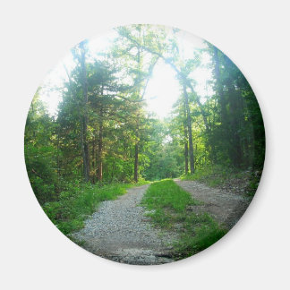 丸磁石 マグネット