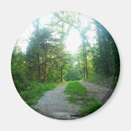 丸磁石 マグネット (正面)