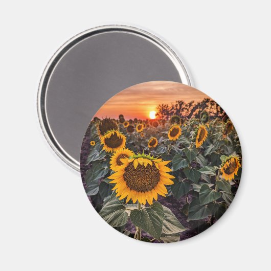 丸磁石 マグネット (正面/裏面)