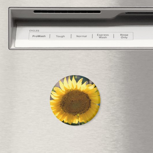 丸磁石 マグネット (インサイチュ (食洗機))