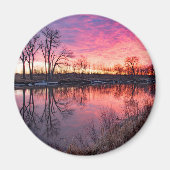 丸磁石 マグネット (正面)