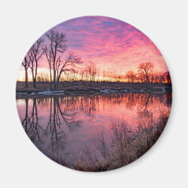 丸磁石 マグネット