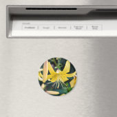 丸磁石 マグネット (インサイチュ (食洗機))