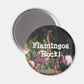 丸磁石 マグネット (正面/裏面)