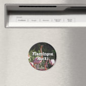 丸磁石 マグネット (インサイチュ (食洗機))