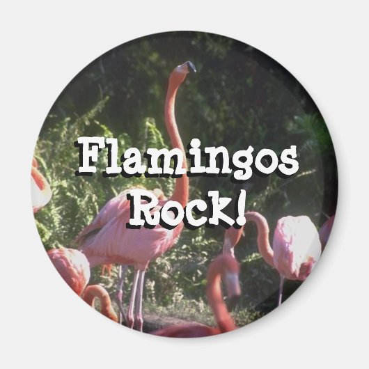 丸磁石 マグネット (正面)