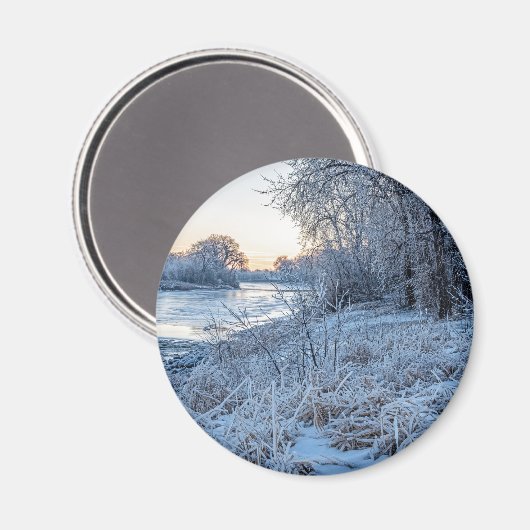 丸磁石 マグネット (正面/裏面)