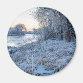 丸磁石 マグネット (正面)