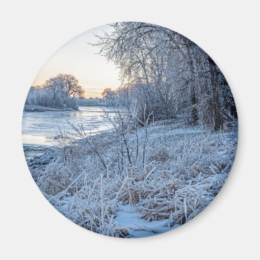 丸磁石 マグネット (正面)