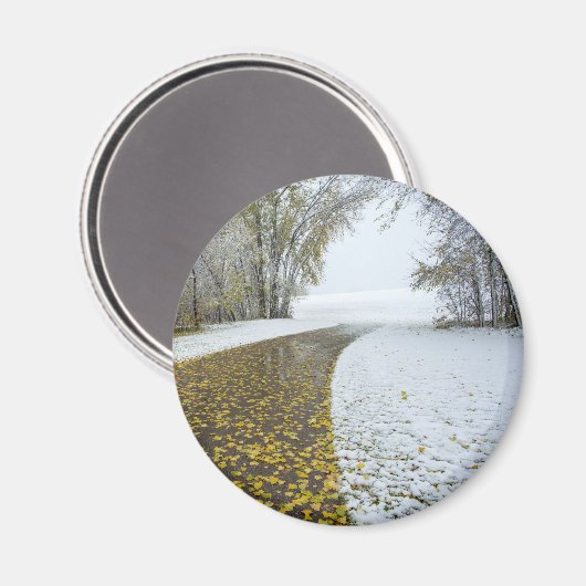 丸磁石 マグネット (正面/裏面)