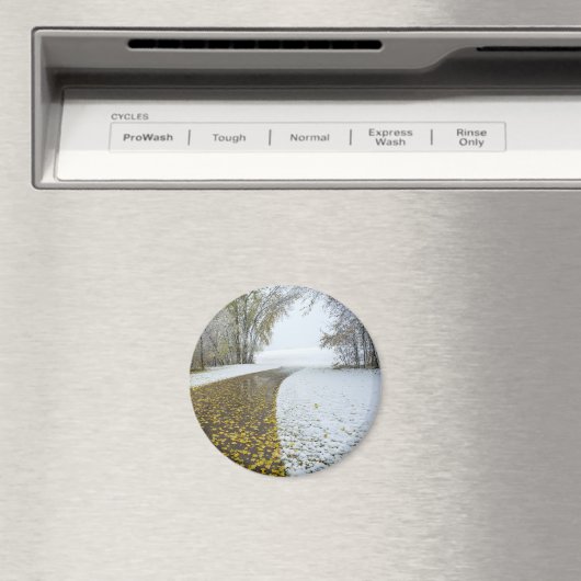 丸磁石 マグネット (インサイチュ (食洗機))