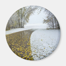 丸磁石 マグネット