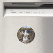 丸磁石 マグネット (インサイチュ (食洗機))