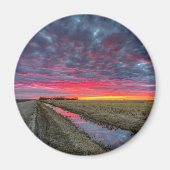 丸磁石 マグネット (正面)