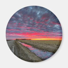 丸磁石 マグネット