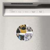 丸磁石 マグネット (インサイチュ (食洗機))