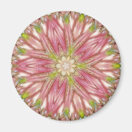 丸磁石 マグネット