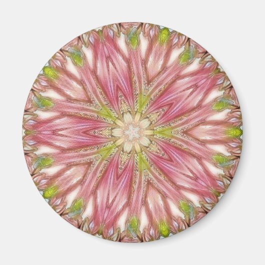 丸磁石 マグネット (正面)