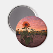 丸磁石 マグネット (正面/裏面)