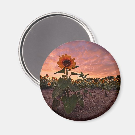 丸磁石 マグネット (正面/裏面)